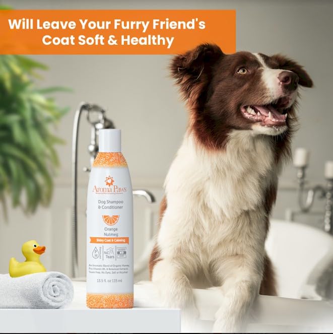 Aroma Paws dog shampoo creates a foamy lather during grooming for a calm coat.