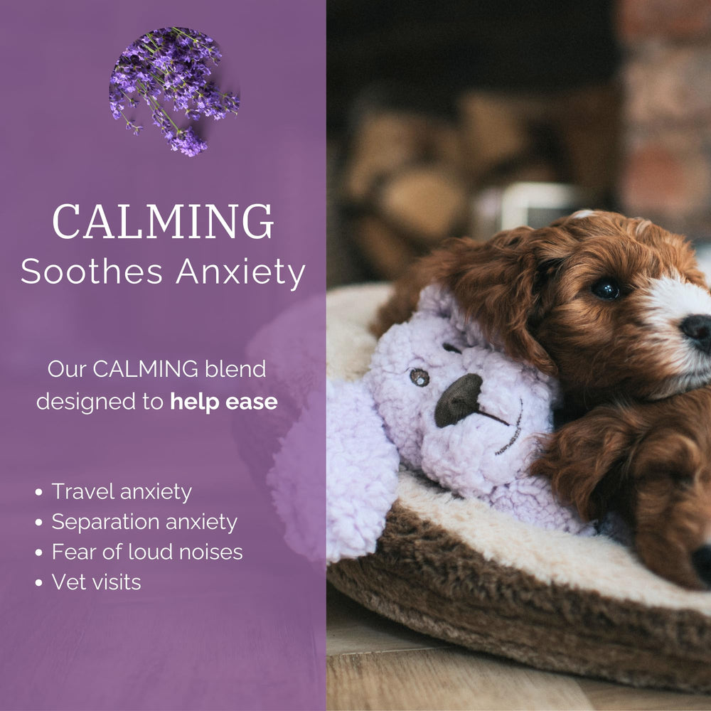 Aromadog calm fleece plush dog toy Lilac side view supports gentle enrichment for anxious dogs.