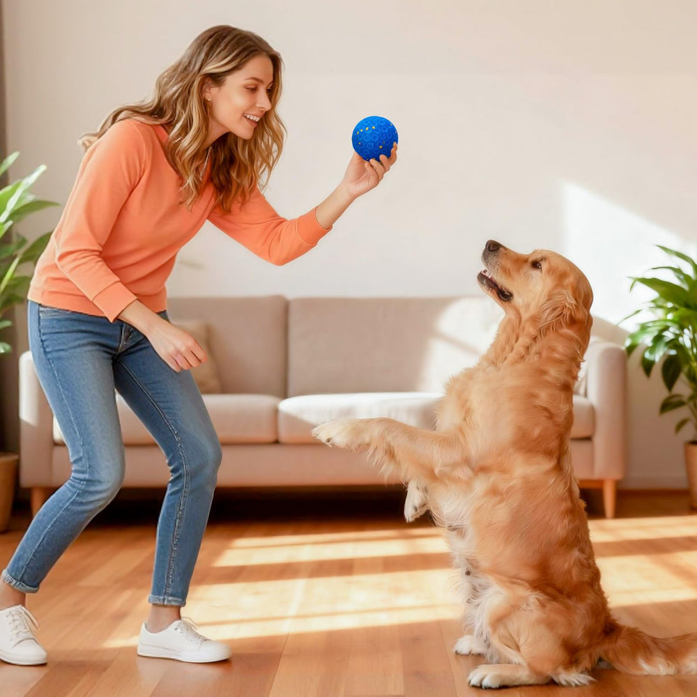 AronYada anxiety-relief play ball offering engaging training sessions.