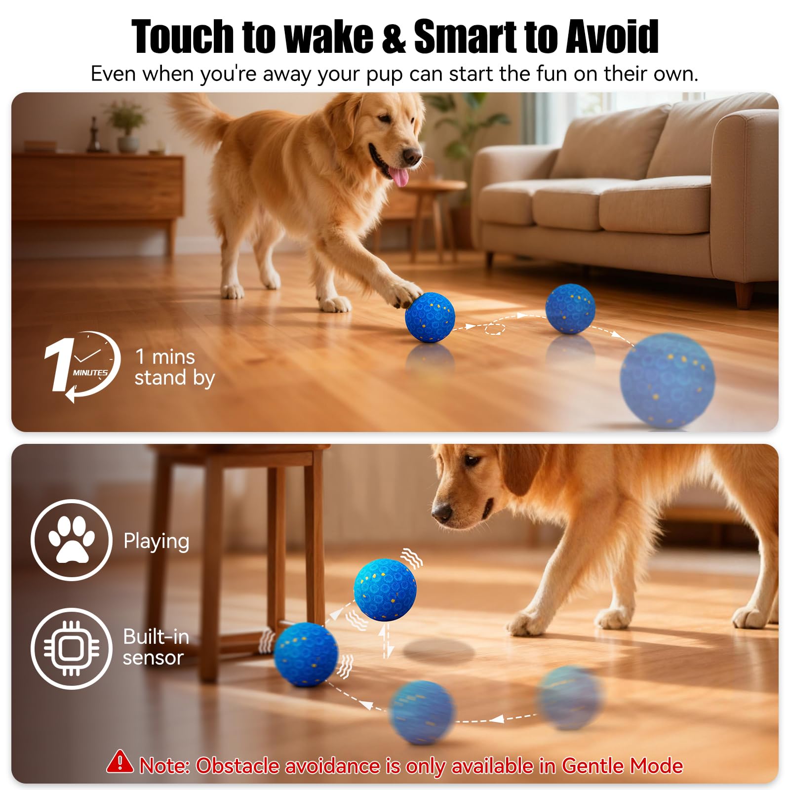 AronYada washable dog ball for simple post-play cleanup.