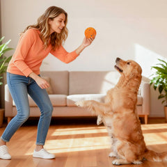 AronYada smart interactive dog ball in action showing self-moving function for engaging training and boredom relief