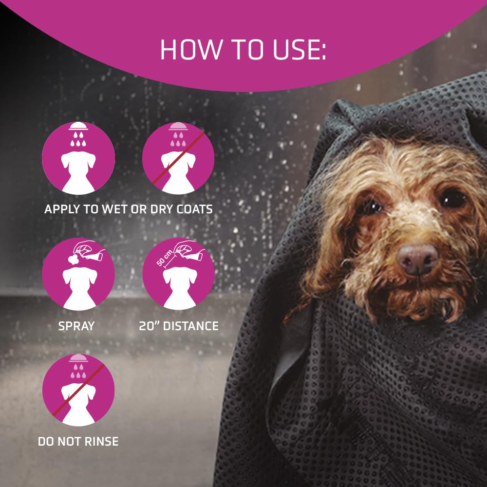 Artero Flash Shine on a cat's fur highlights conditioning and smooth, manageable hair.