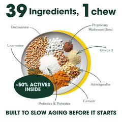 Arterra Longevity hip joint blend ingredients including glucosamine