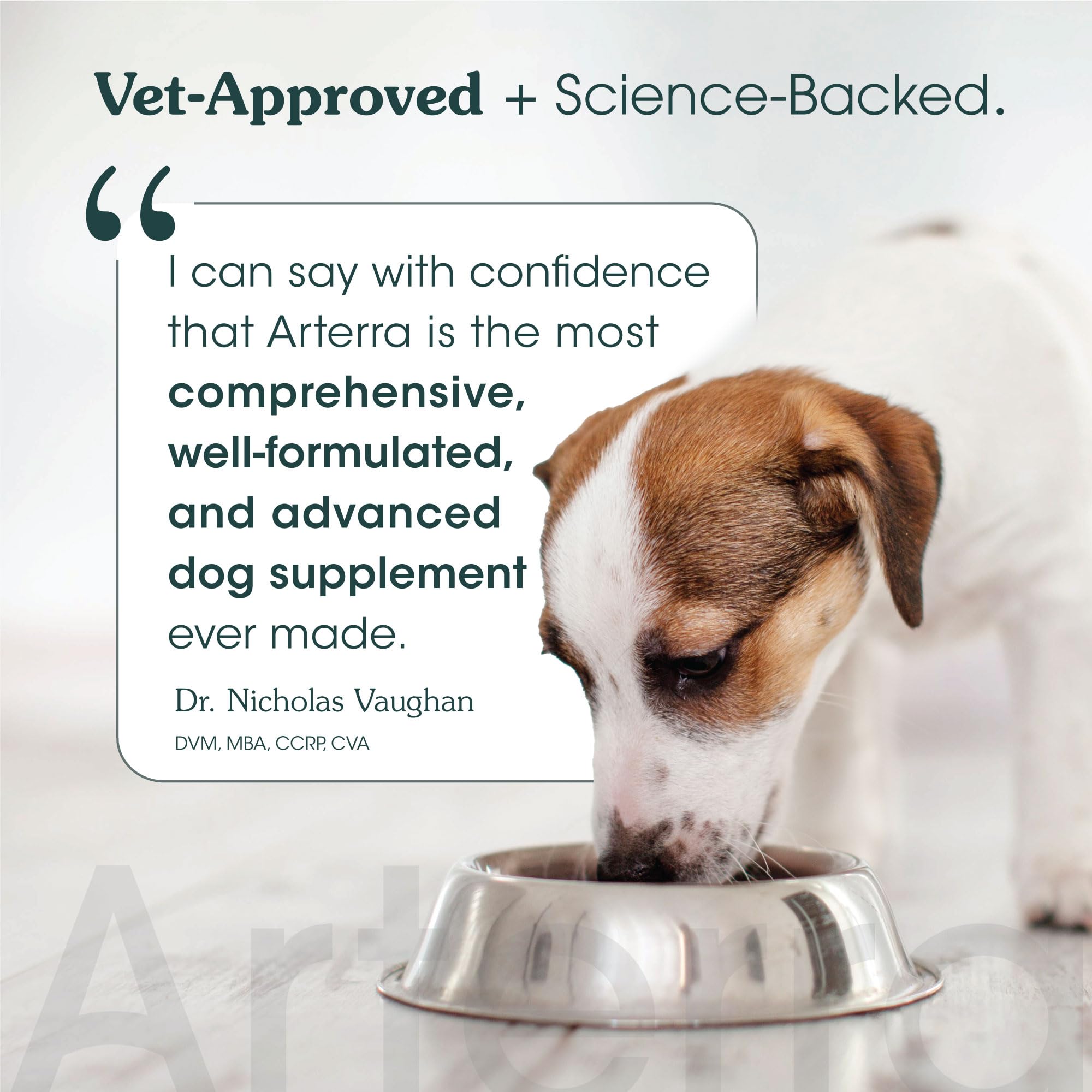 Arterra Senior Dog Powder promotes cognitive health with omega-3 and brain nutrients.