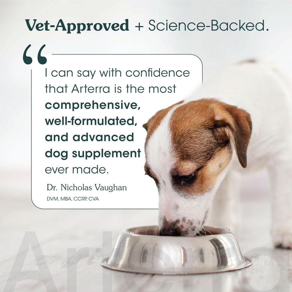 Arterra Senior Dog Powder promotes cognitive health with omega-3 and brain nutrients.
