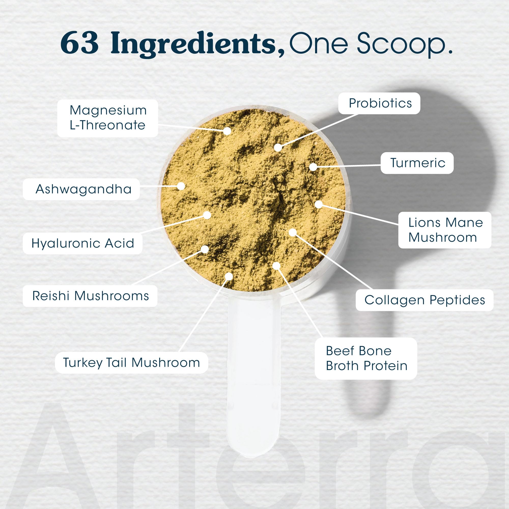 Arterra Senior Dog Powder joint-boost blend on packaging suggests mobility support.