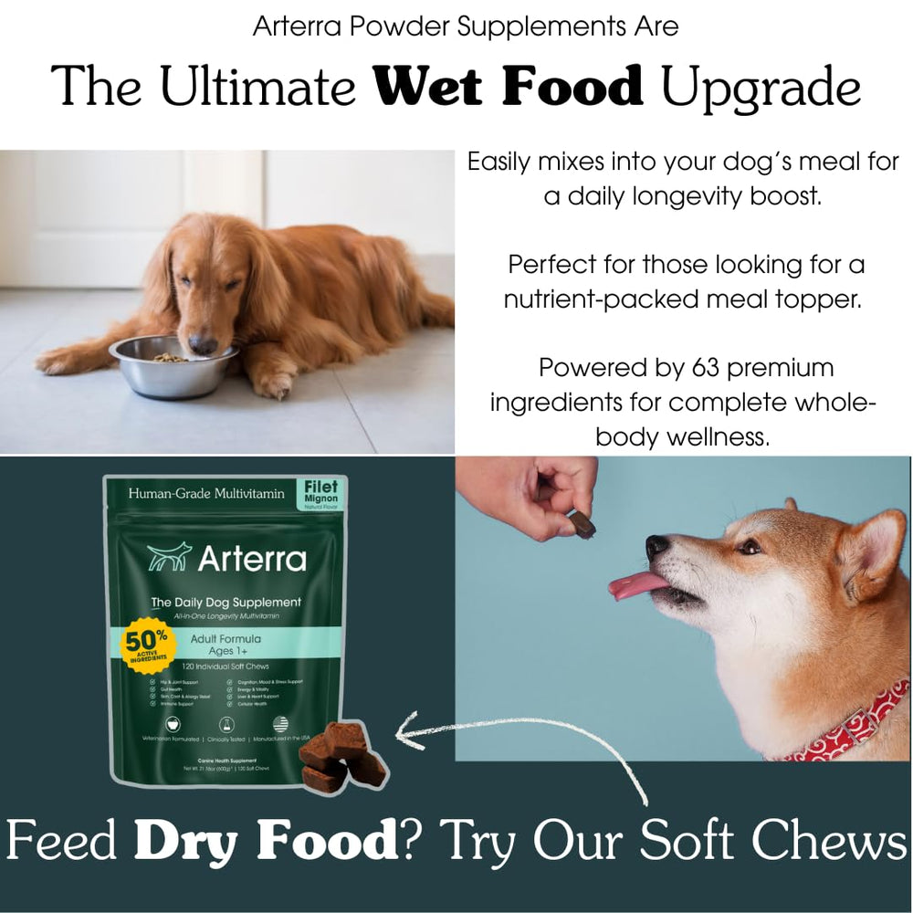 Arterra Senior Dog Powder scoop demonstrates simple measurement for consistent daily doses.