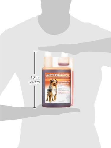 ArthriMAXX dropper-application easy-dosing for paw-friendly administration.