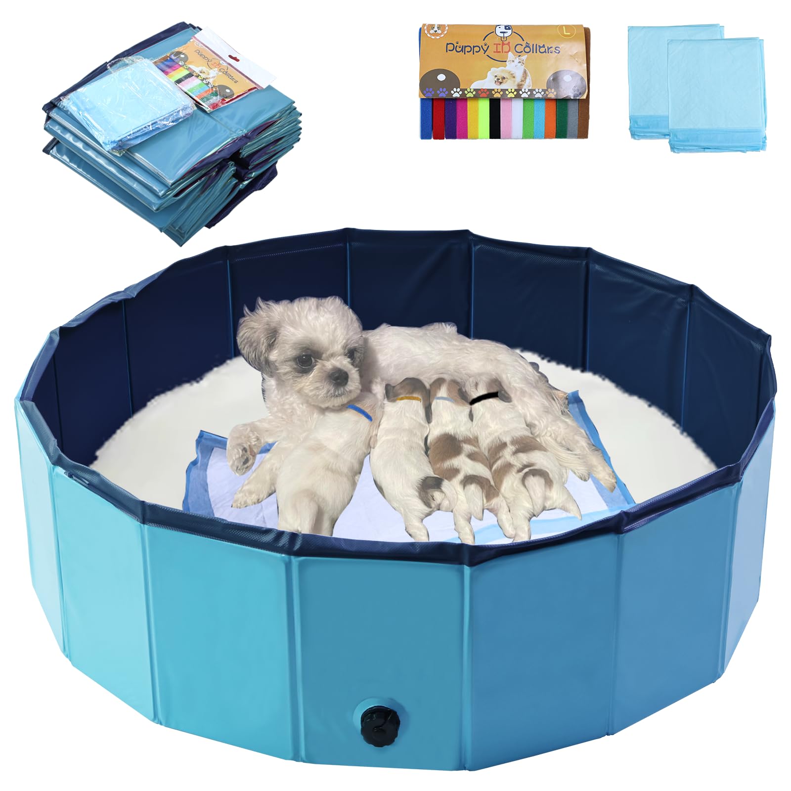 Artilife dog whelping box pool blue ready for quick setup with a durable build.