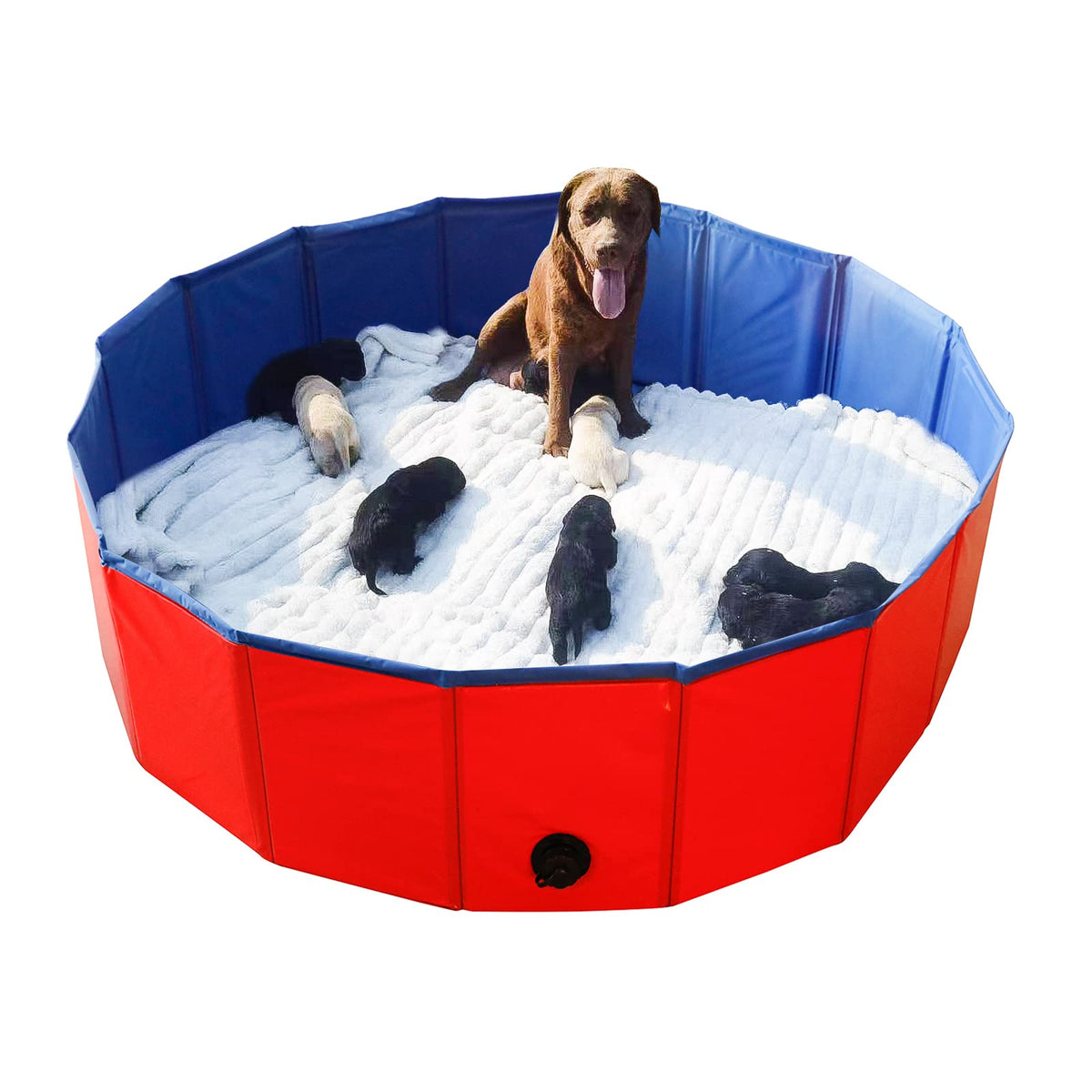 Artilife foldable dog bath pool outer view shows durable PVC and MDF construction.