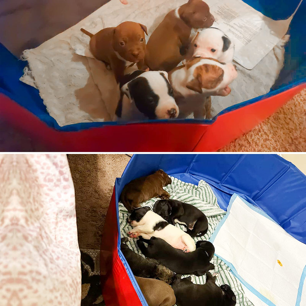 Artilife foldable dog pool bottom drain feature simplifies water removal.