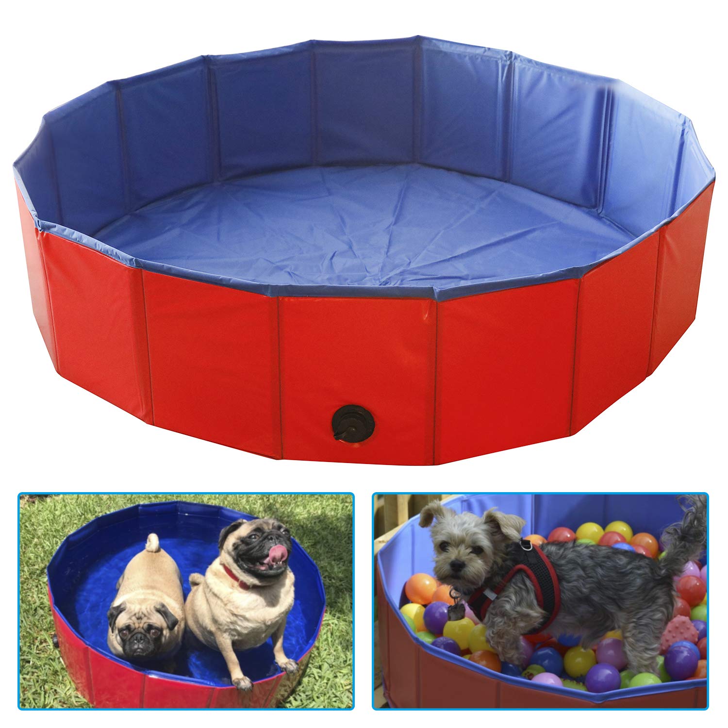 Artilife foldable dog pool playtime setup demonstrates enrichment option.