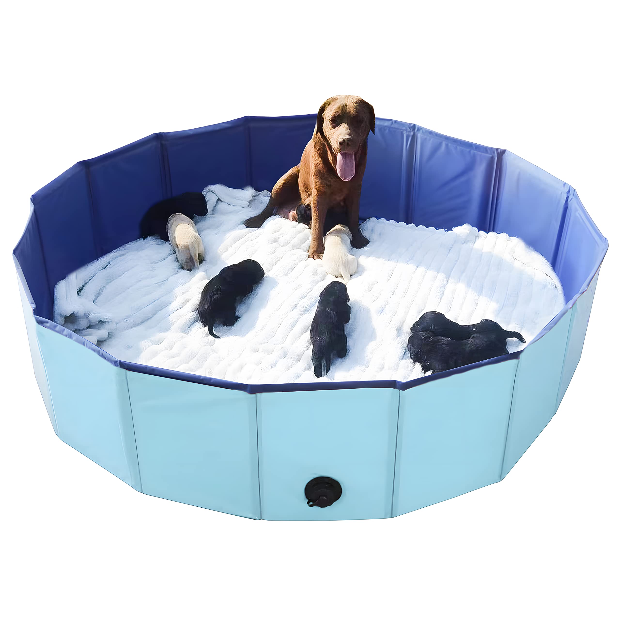 Artilife whelping box, 63-inch-diameter blue pool for safe whelping.