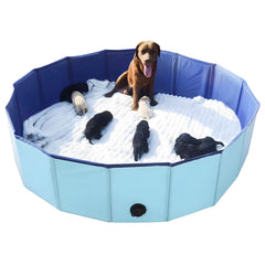 Artilife whelping box, 63-inch-diameter blue pool for safe whelping.