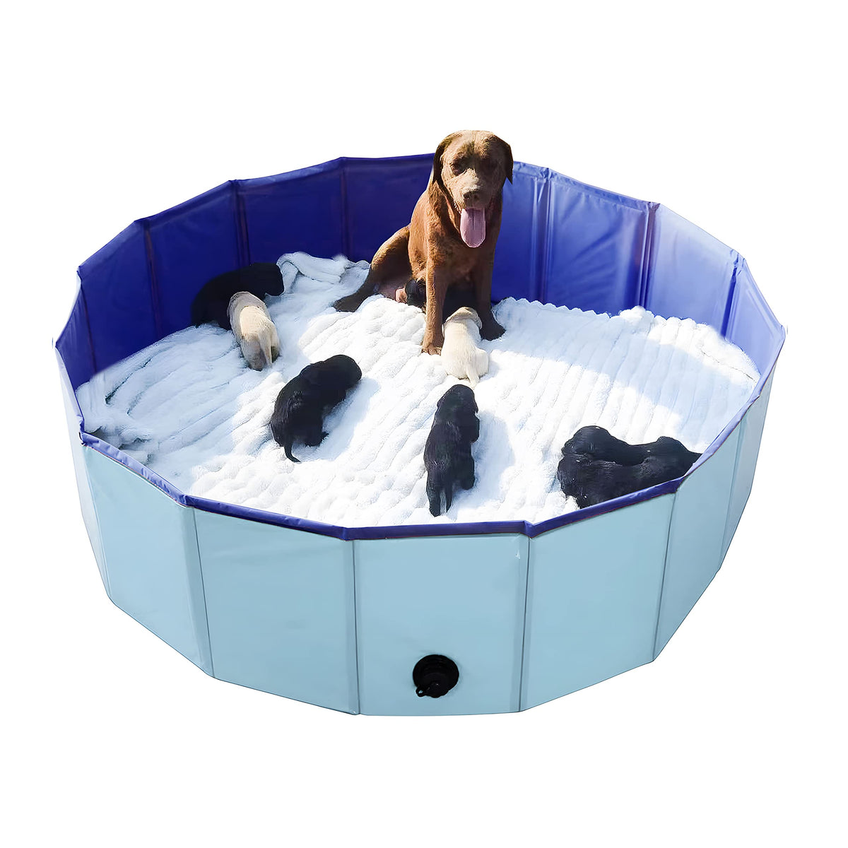 Artilife whelping box blue front view shows durable PVC construction for long-lasting use