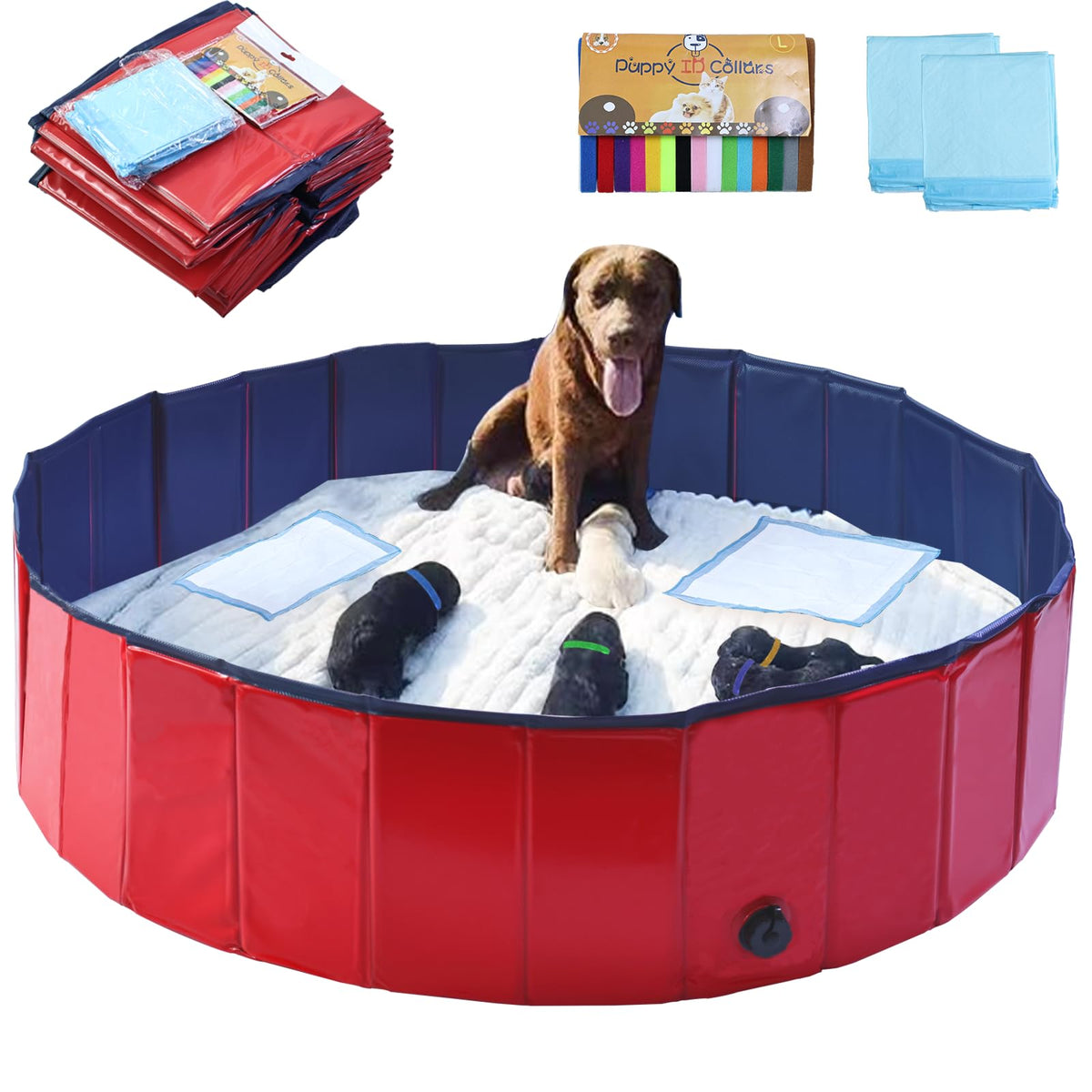 Artilife whelping box pool setup shows quick assembly and a sturdy frame.