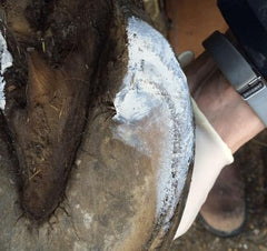 Artimud protects white line crevices with sealing action.