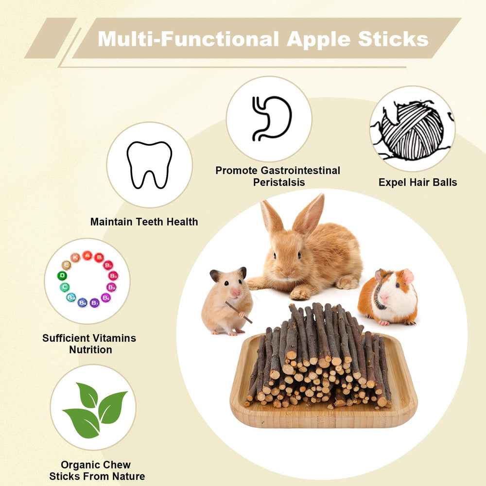 ARTKIDA Apple Sticks rabbit chew demonstrates safe, fiber-rich snacking during bonding play.