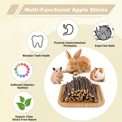 ARTKIDA Apple Sticks rabbit chew demonstrates safe, fiber-rich snacking during bonding play.