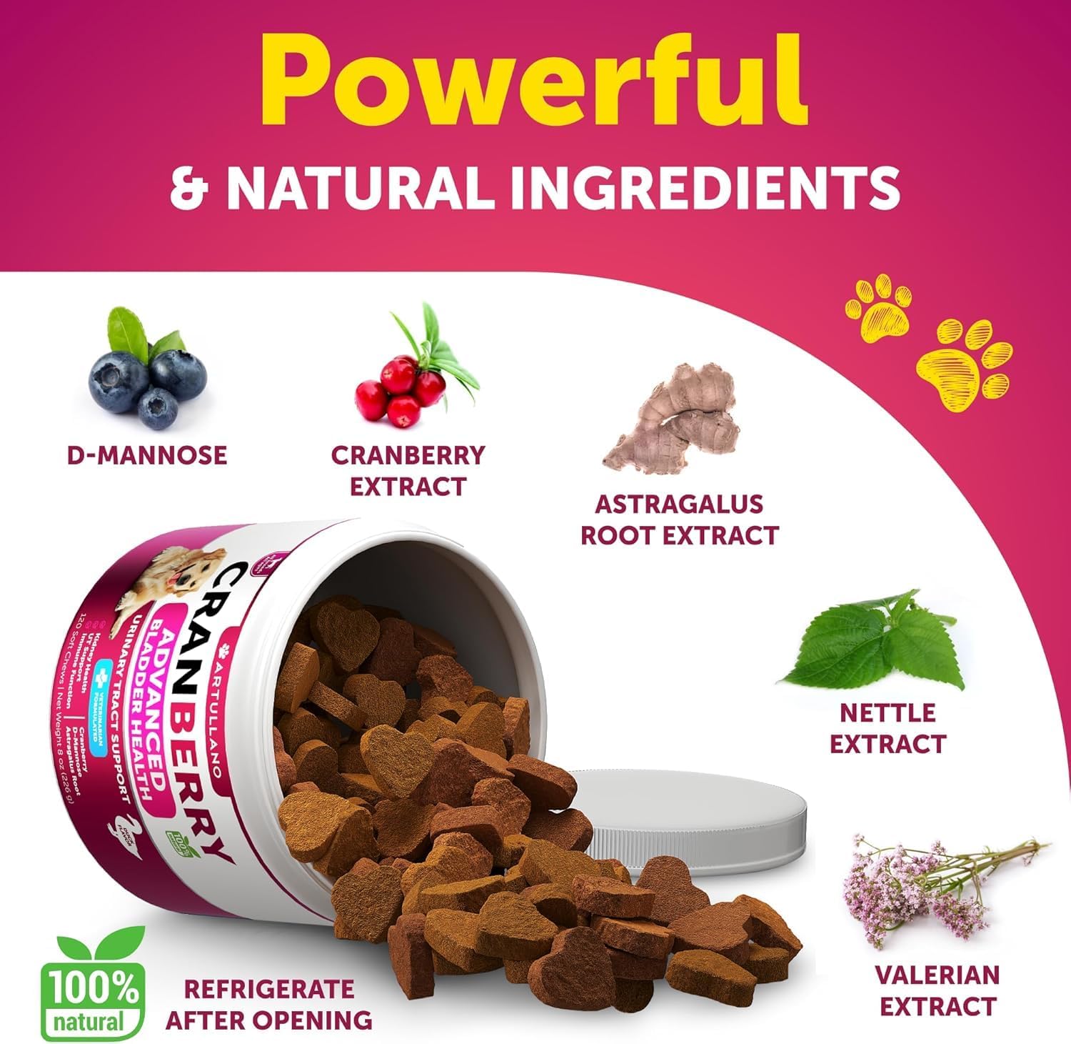 Artullano cranberry dog urinary-health pack highlighting holistic support