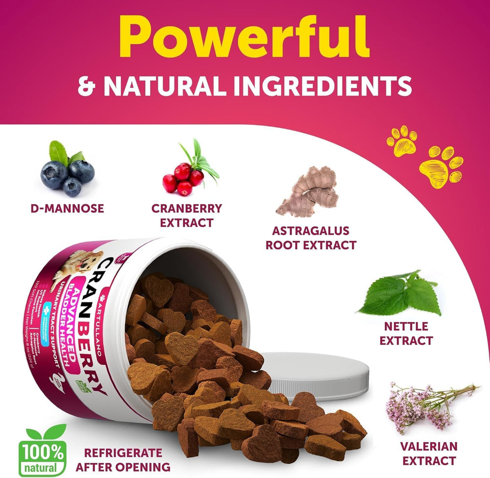 Artullano cranberry dog urinary-health pack highlighting holistic support