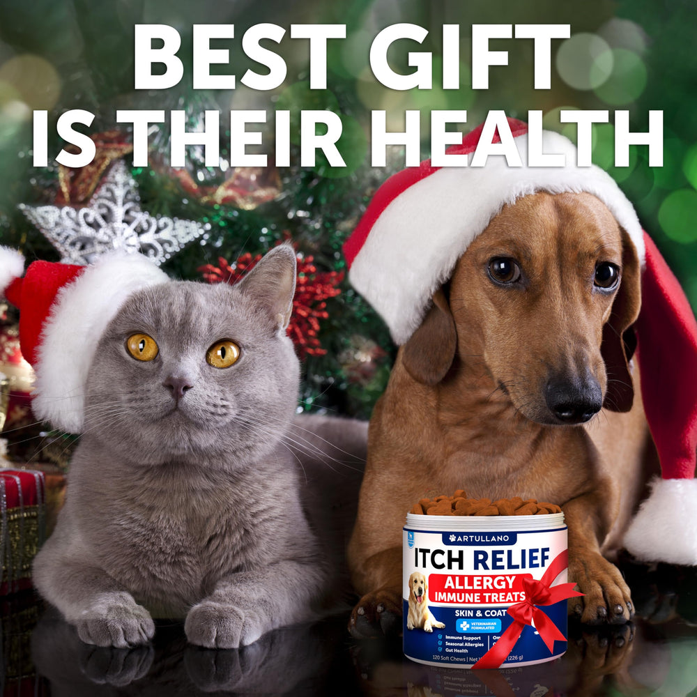 Artullano dog allergy relief chews treats closeup: tasty formula supporting skin & coat health.