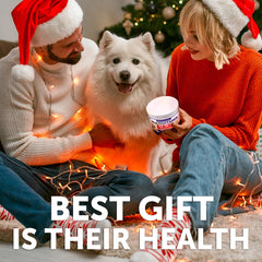 Artullano dog multivitamin chews closeup emphasizes texture and complete canine nutrition