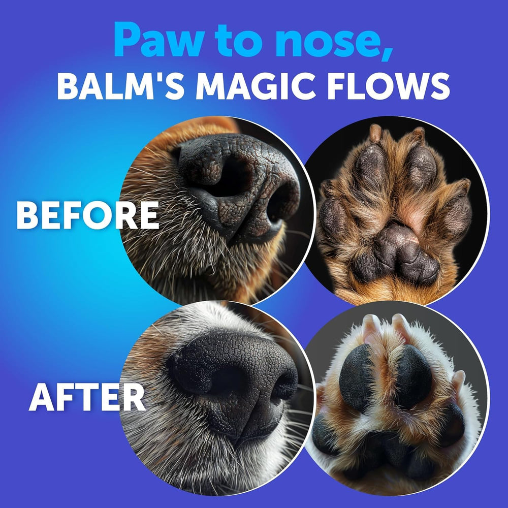 Artullano Dog Paw Balm on dog paw demonstrates quick, non-greasy application.