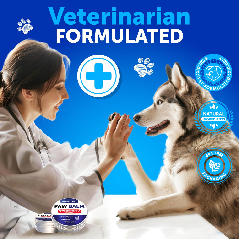 Artullano Dog Paw Balm tube in-use scene shows protective layer during walk.