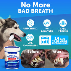 Artullano Dog Teeth Wipes finger-application close-up for easy daily dental care.