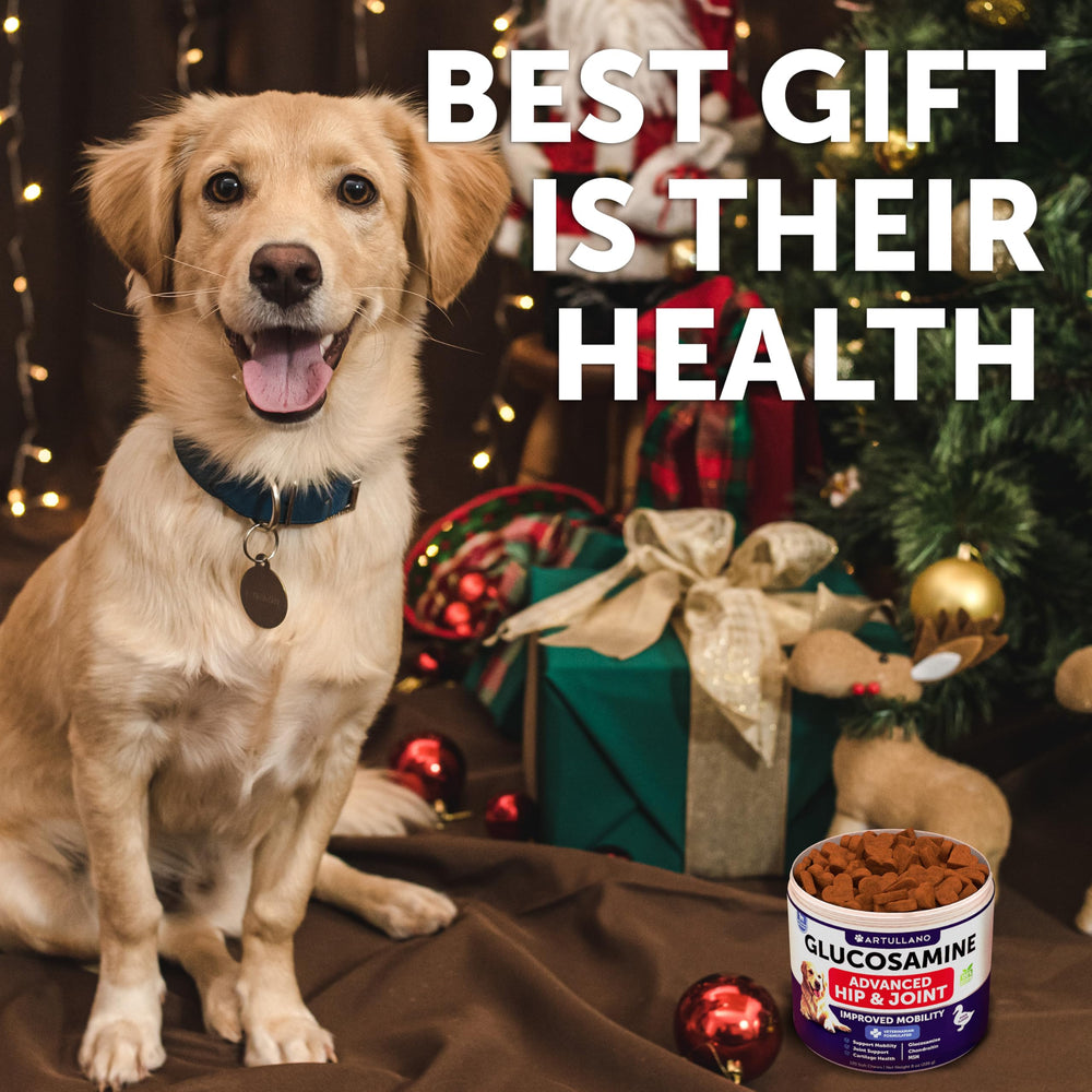 Artullano Glucosamine for Dogs chews closeup highlights tasty texture for hip and joint care.