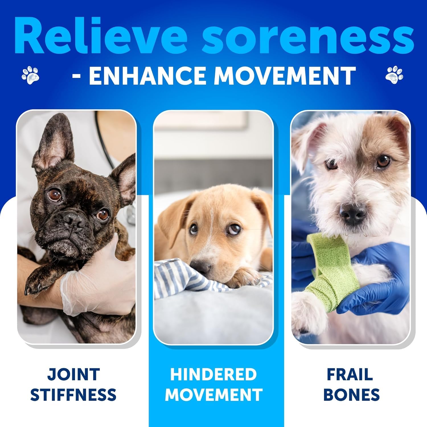 Artullano Glucosamine for Dogs packaging highlights natural ingredients for canine mobility.