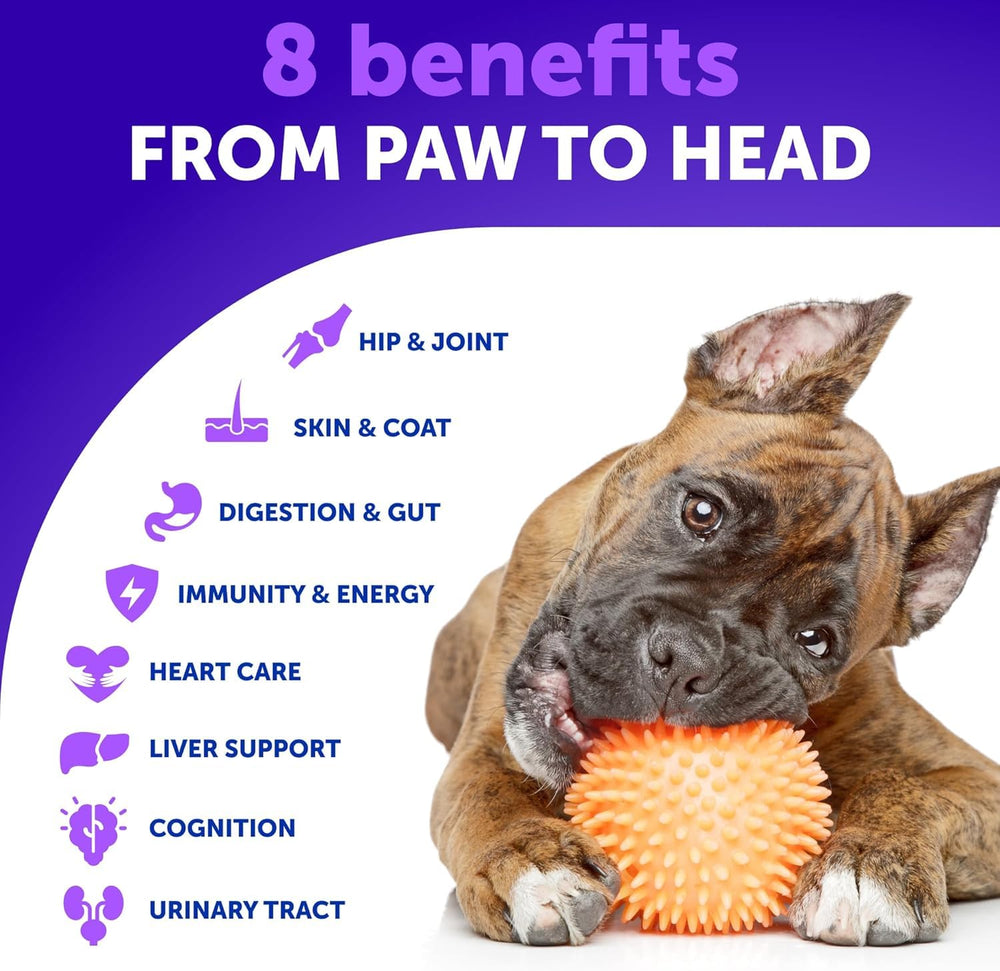 Artullano omega-3 dog skin-coat chew promotes shiny coat and healthy skin