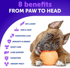 Artullano omega-3 dog skin-coat chew promotes shiny coat and healthy skin