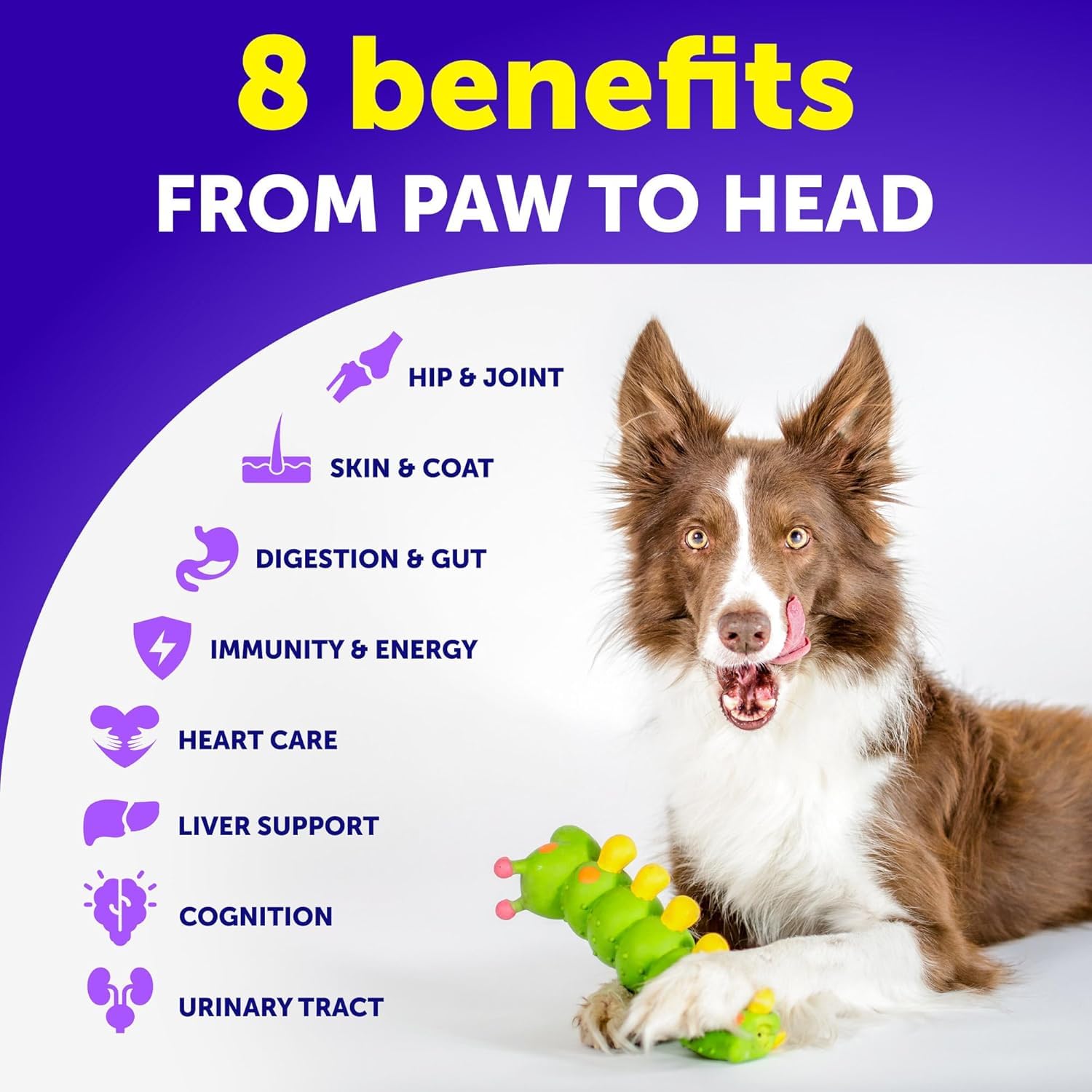 Artullano omega-3 salmon oil ingredient detail suggests skin, coat, and gut support