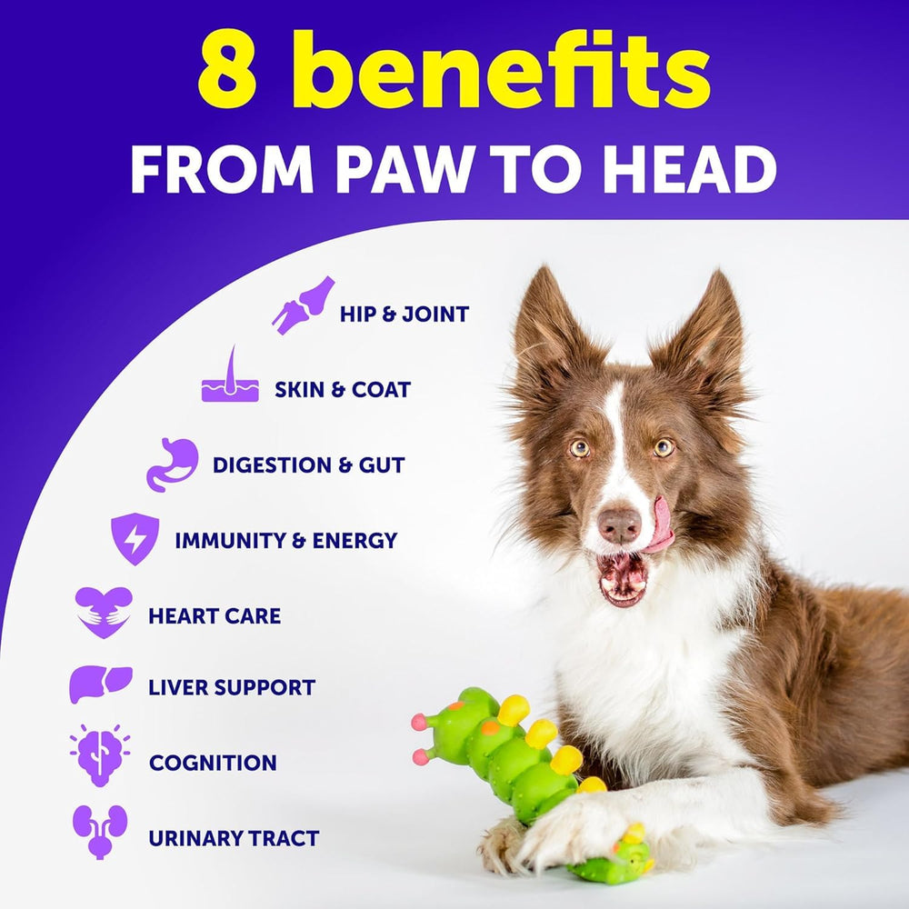 Artullano omega-3 salmon oil ingredient detail suggests skin, coat, and gut support