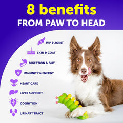 Artullano omega-3 salmon oil ingredient detail suggests skin, coat, and gut support