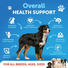 Artullano Omega 3 for Dogs coat glow emphasizes healthy, vibrant fur.