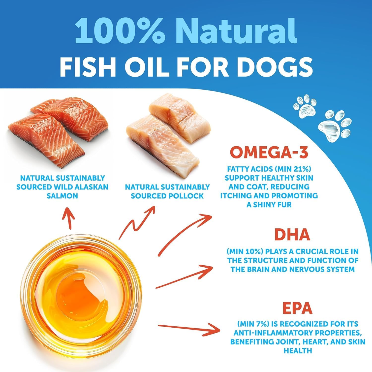 Artullano Omega 3 for Dogs joint mobility signifying flexible movement.