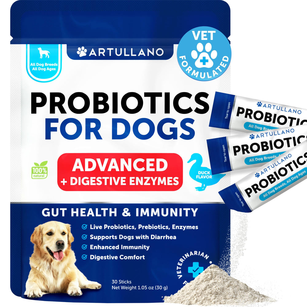 Artullano probiotic powder for dogs bottle front highlights daily gut health support.