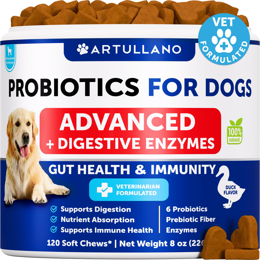 Artullano Probiotics for Dogs bottle and chews promoting gut health benefits.