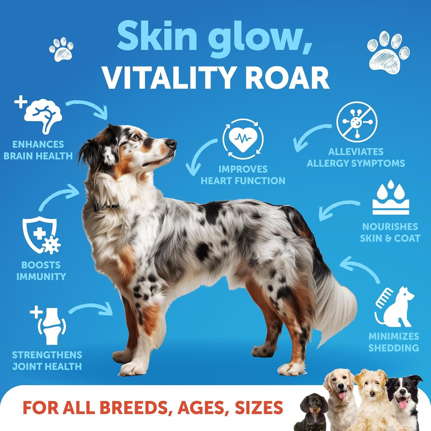 Artullano Salmon Oil for Dogs coat shine highlights nourished fur and vitality.