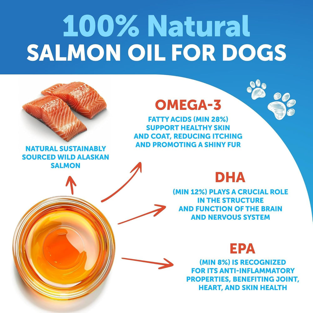 Artullano Salmon Oil for Dogs joints scene suggests supported mobility.
