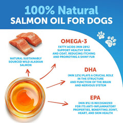 Artullano Salmon Oil for Dogs joints scene suggests supported mobility.