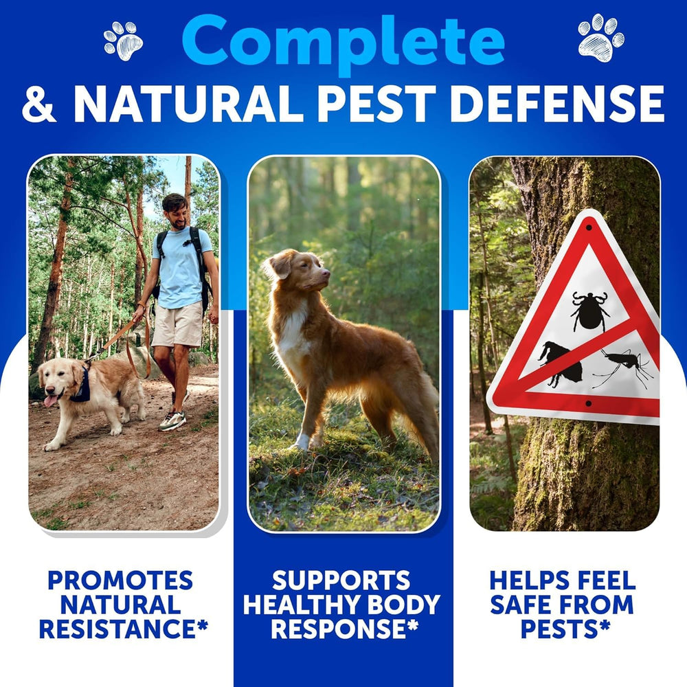 Artullano vet-formulated chews for dogs, trusted flea and tick defense