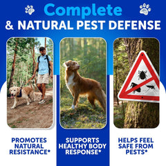 Artullano vet-formulated chews for dogs, trusted flea and tick defense