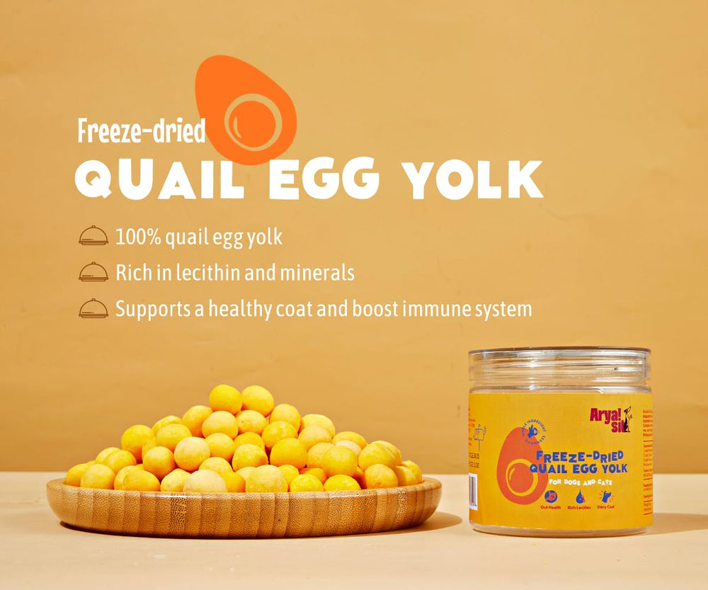 Arya Sit quail egg yolk treat dog and cat snack shown enjoying healthy protein.