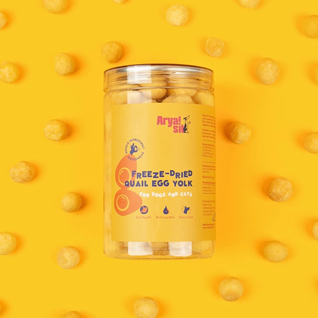 Arya Sit quail egg yolk treat jar closeup highlights premium freeze-dried texture.