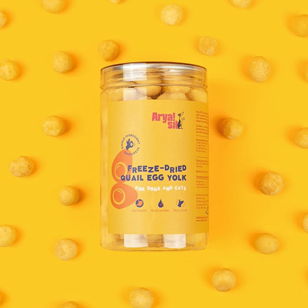 Arya Sit quail egg yolk treat jar closeup highlights premium freeze-dried texture.