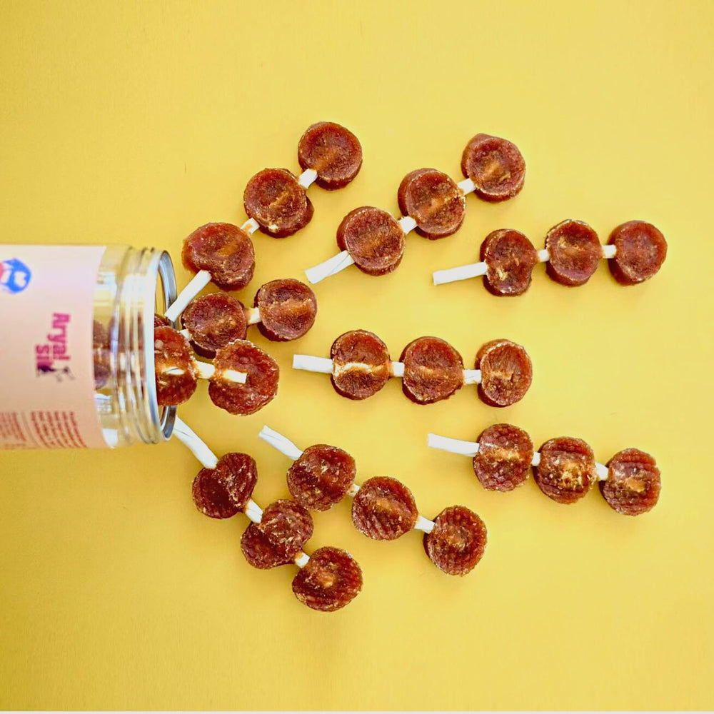 Arya Sit! beef lollipops treat promotes chewing and tasty rewards during training